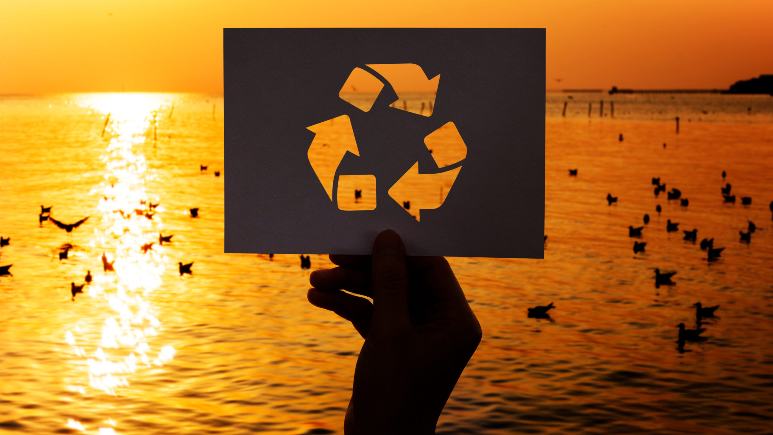 Nexus of Sustainable Waste Management