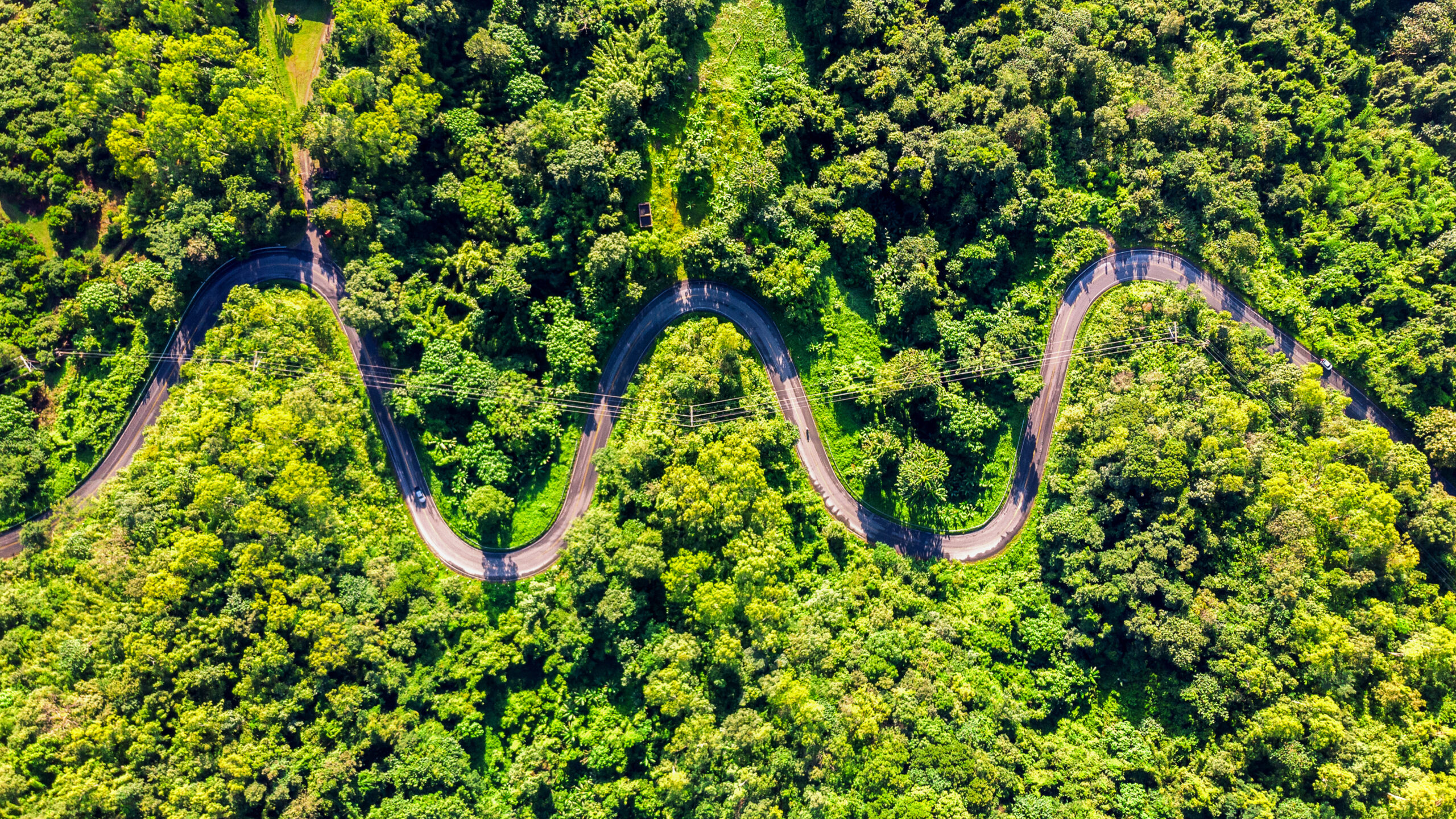 Philosophy of Environmental Sustainability: A Path to a Greener Future