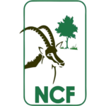 NCF